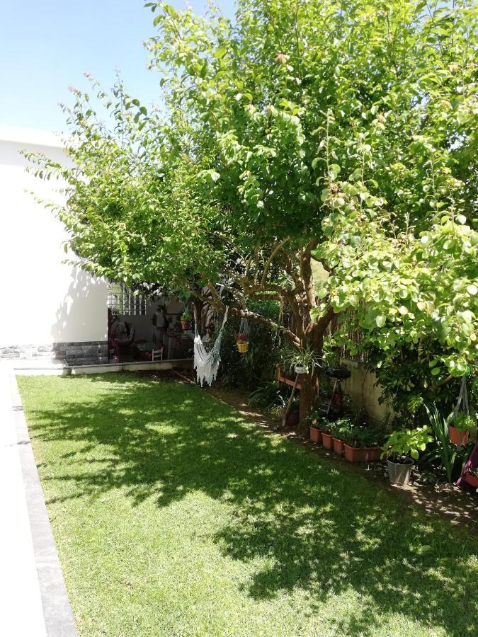 فندق Moradia No Seixal إيريسييرا المظهر الخارجي الصورة